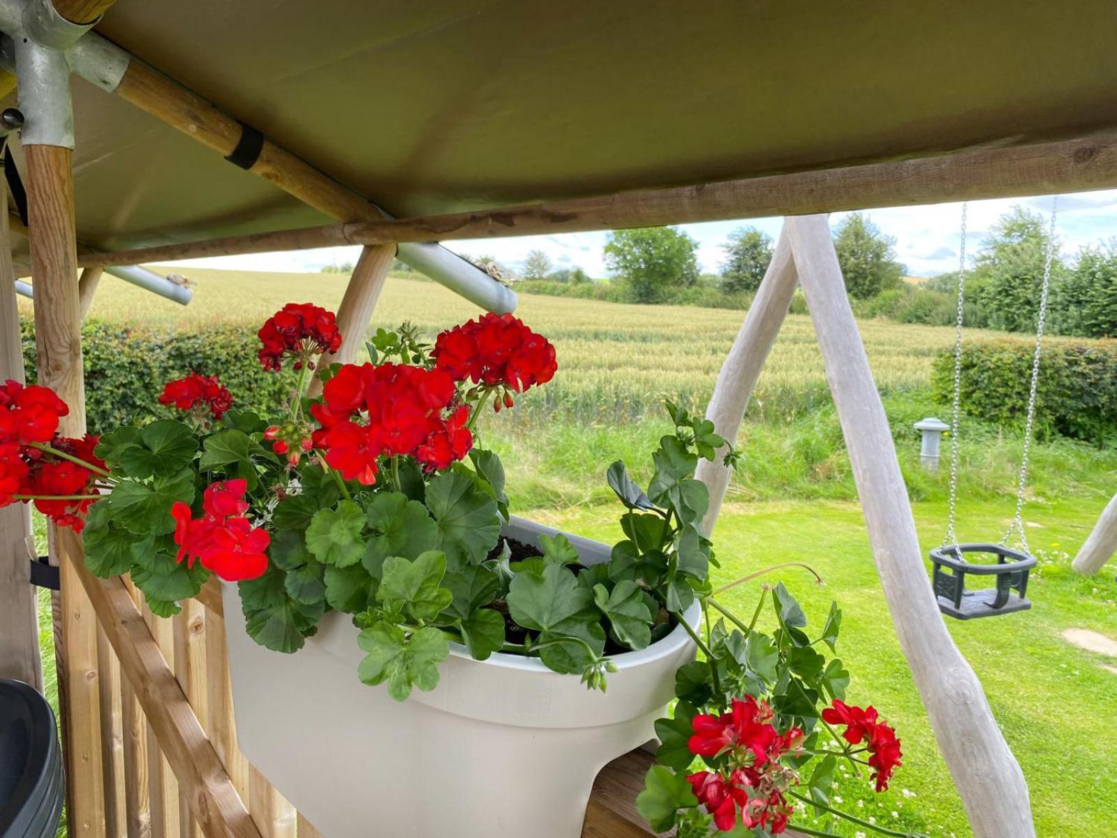 Camping La Dolce Vita Ransdaal Buitenkant foto